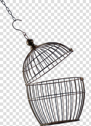 Bird Cage Png Image   Open Bird Cage Png  Transparent Png