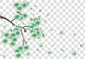  daun   Spring Png  Transparent Png