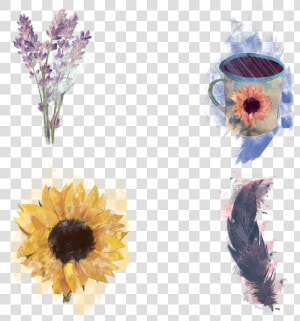 Use These Sample Clipart Items From The Watercolor  HD Png Download