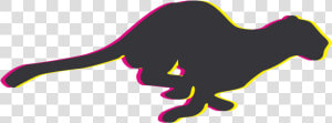 Puma Logo Png   Puma Ruby Logo  Transparent Png