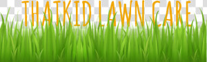 Lawn Mowing   Trimming   Watering   Edging   Thatching   Grass Vector Free  HD Png Download