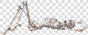 Skeleton  Pose  Skull  Bones  3d  Lying Down  Png   Skeleton Laying Down  Transparent Png