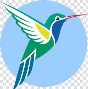 Broad Billed Hummingbird Vector Graphics Ruby Throated  HD Png Download