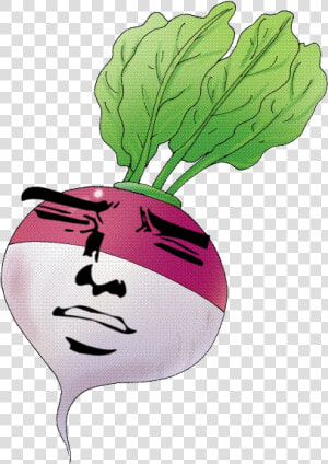 Clipart Picture Of Turnip  HD Png Download