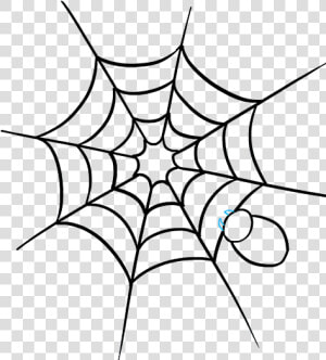 How To Draw How To Draw A Spider Web With Spider In   Colouring Pages Of Web  HD Png Download