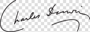 Charles Darwin Signature  HD Png Download