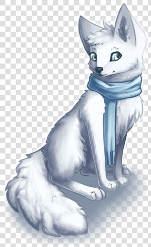 Arctic Fox   Png Download   Arctic Fox Real Drawing  Transparent Png