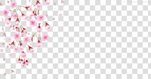 Cherry Blossom Leaves Falling Png   Cherry Blossom Falling Png  Transparent Png