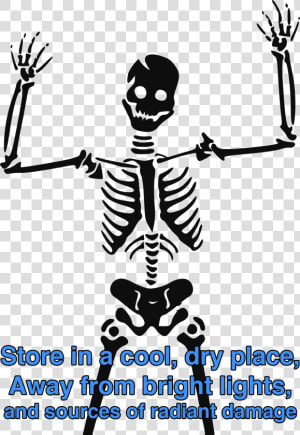 Skeletal Storage   Skeleton Clipart Png  Transparent Png