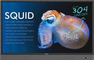 Benq Rm5501k  HD Png Download