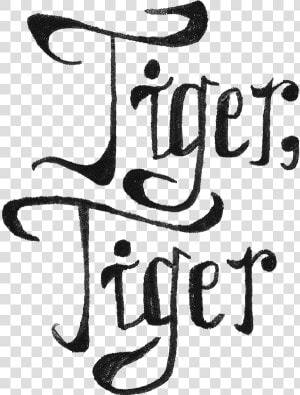 Tiger Written In Different Fonts  HD Png Download