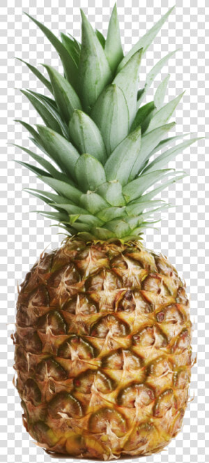 Pineapple No Background   Black And White Pineapple  HD Png Download