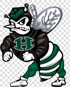 Huntsville Hornet Png   Png Download   Huntsville High School Hornets  Transparent Png