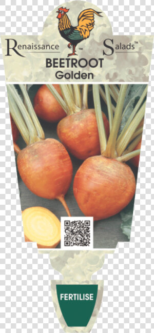 Beetroot  HD Png Download