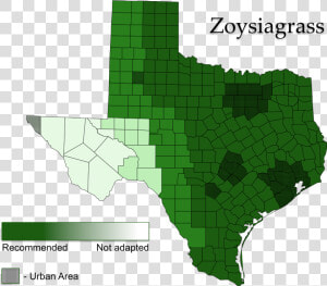 Zoysiagrass Areas Of Adaptation   St Augustine Grass Map  HD Png Download