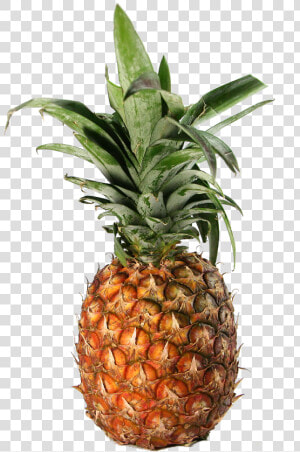 Transparent Pineapple   Pineapple  HD Png Download