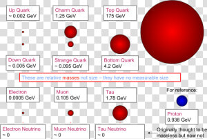 Fundamental Particles Size  HD Png Download