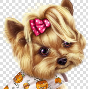 Yorkshire Terrier  HD Png Download