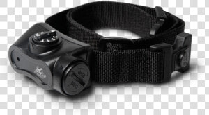 Bark Collar For Labrador   Strap  HD Png Download