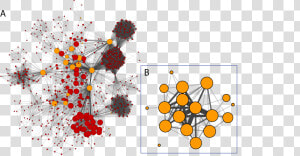 Cytoscape Network Analysis  HD Png Download