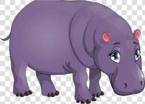 Hippopotamus Png Image File   Beautiful Hippopotamus  Transparent Png