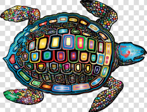 Sea Turtle  Animal  Vintage  Line Art  Turtle  Marine   Mandala Cute Turtle Png  Transparent Png