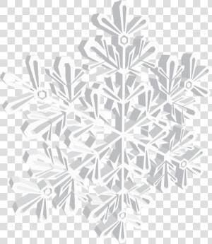 3d Snowflake Clipart Jpg Download White 3d Snowflake   3d Snowflake Png  Transparent Png