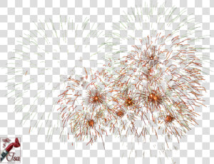 Tube Png Feux D Artifice  Transparent Png