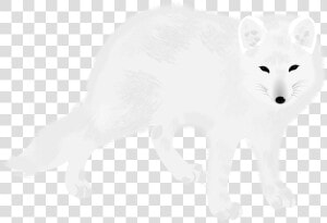 Arctic Fox carnivore fur   Arctic Fox  HD Png Download