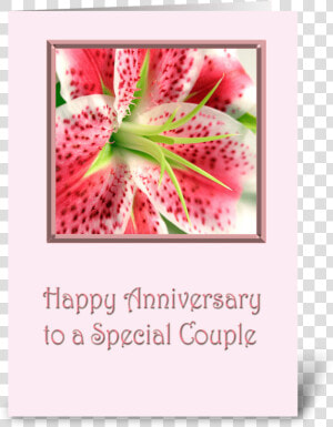 Anniversary Stargazer Lily Greeting Card   Happy Anniversary Stargazer Lilies  HD Png Download