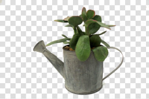 Flowerpot  HD Png Download