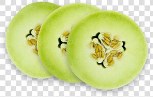 Honeydew  HD Png Download