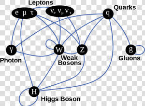 Summary Of Interactions Between Certain Particles Described   Standard Model Particle Interactions  HD Png Download