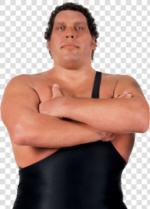 Andre The Giant   Andre The Giant 1946 1993  HD Png Download