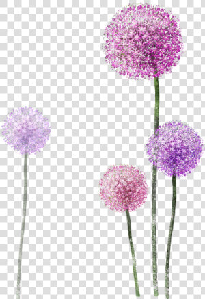 Watercolor Purple Flower Painting Dandelion Free Frame   Dandelion Png  Transparent Png