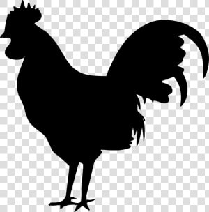 Silhouette  Bird  Nature  Dark  Chicken   Rooster Icon Png  Transparent Png