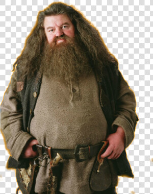 Rubeus Hagrid Png Image With No Background   Harry Potter Hagrid  Transparent Png