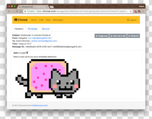 Nyan Cat Gif Png  Transparent Png