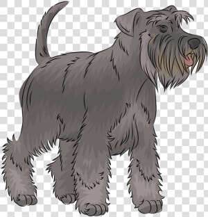 Miniature Schnauzer  HD Png Download