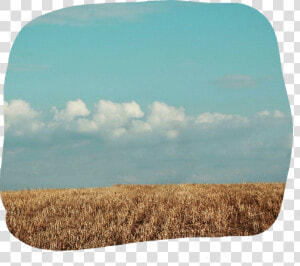  dailyremix  field  blue  sky  day  drygrass  land   Field  HD Png Download