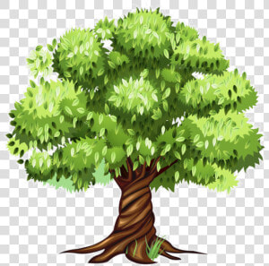 Tree Clipart  Tree Patterns  Flowering Trees  Cartoon   Tree Clipart Png  Transparent Png