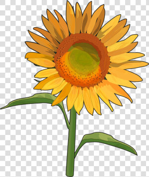 Girasoles Tumblr En Png   Png Download   Imagenes De Un Girasol Completo  Transparent Png