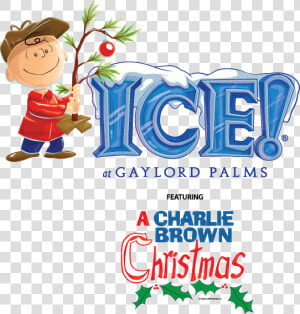 Christmas Gaylord Palms Charlie Brown July   Gaylord Hotels  HD Png Download