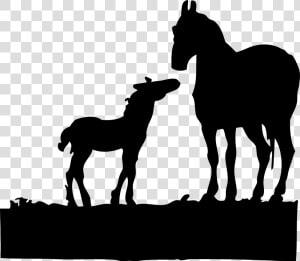 Foal  Horses  Silhouette  Animals  Mare  Standing   Mare And Foal Silhouette  HD Png Download