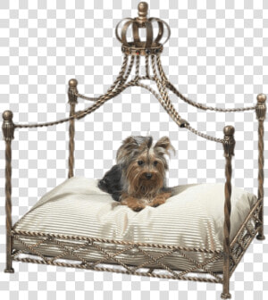 Pet Canopy Bed   Cat Canopy Bed  HD Png Download