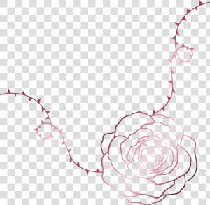 Like A Rose Growing Amongst The Thorns  These Brushes  HD Png Download