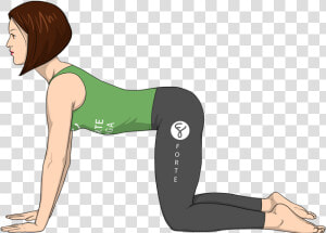 Cow Pose Forte Yoga  HD Png Download