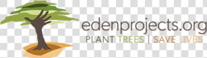 Eden Projects Tree Planting  HD Png Download