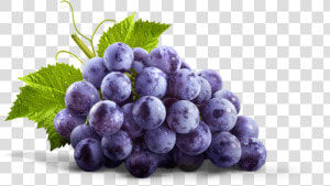 Thumbnail   Concord Grape Png  Transparent Png