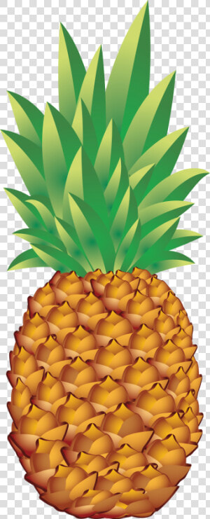 Pineapple Png Vector Clipart Image Pineapple Clipart   Pineapple Png  Transparent Png